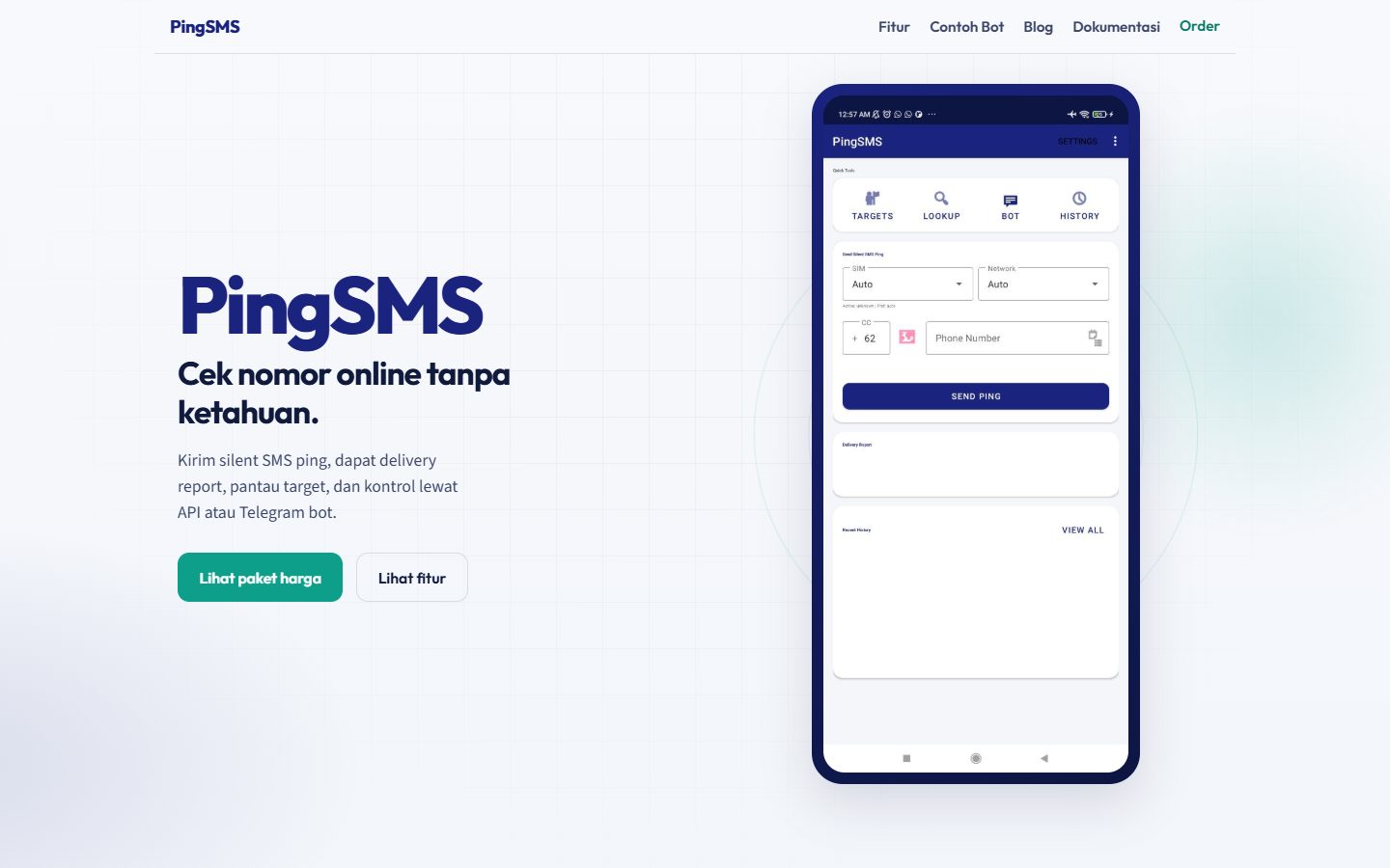 Screenshot PING SMS